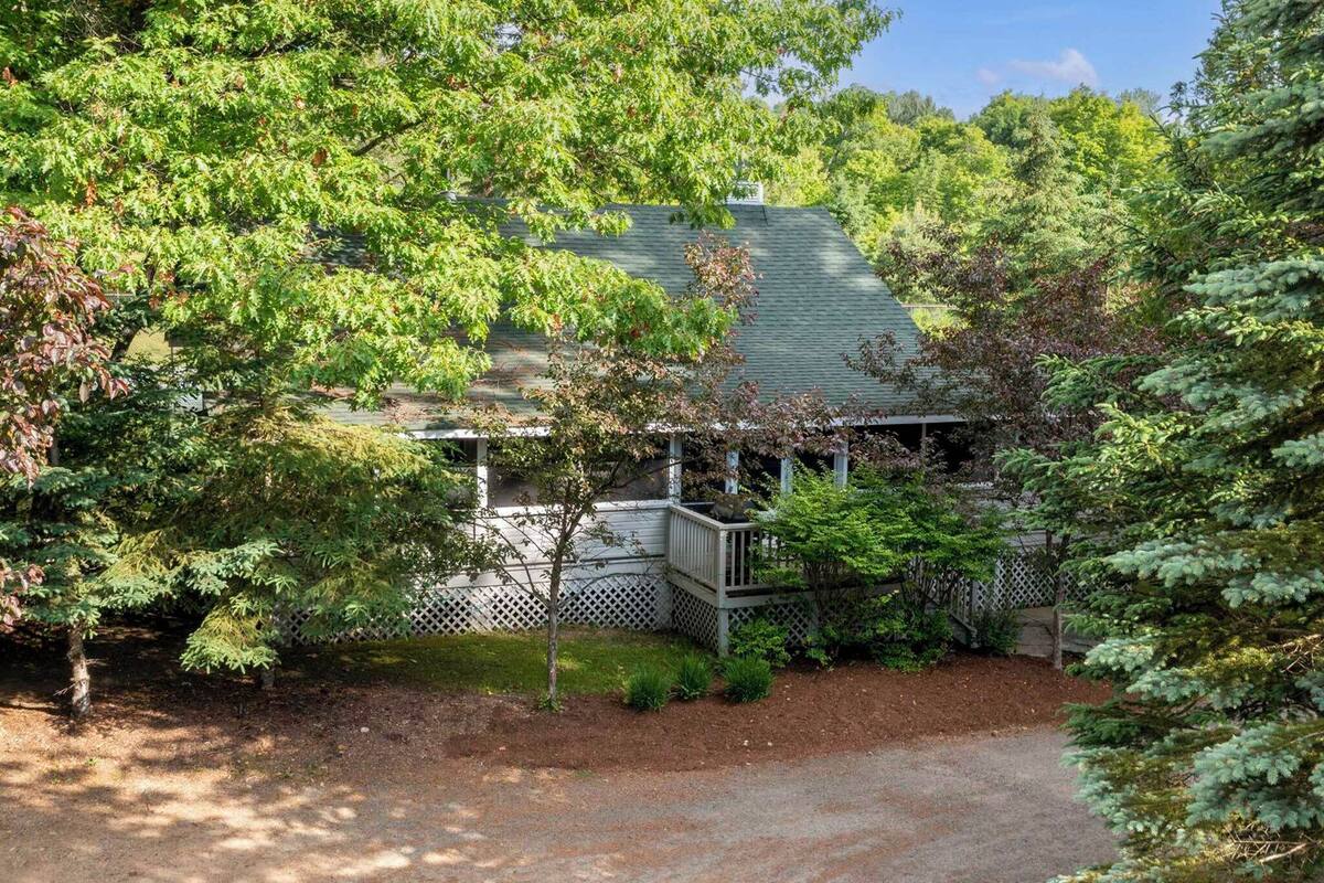 A house with a green roof, surrounded by dense trees and a wooden deck.