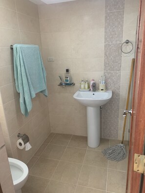 Towels, soap, shampoo, toilet paper