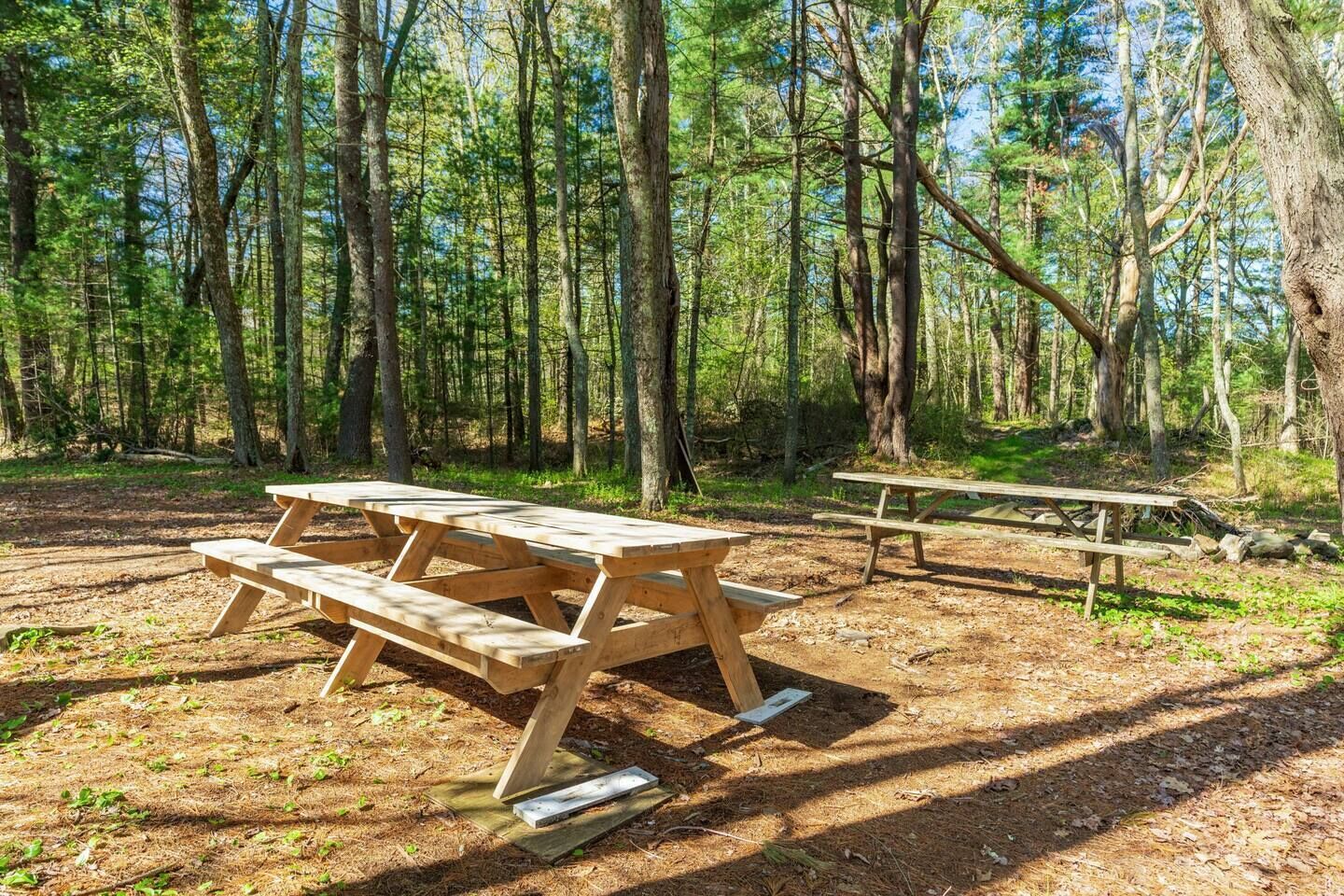 Une table de pique-nique dans une zone boisée, avec des arbres en arrière-plan.