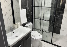 Ducha, cabezal de ducha tipo lluvia, secador de pelo, toallas