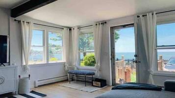 TV connectée, cheminée, livres, chaßne hi-fi