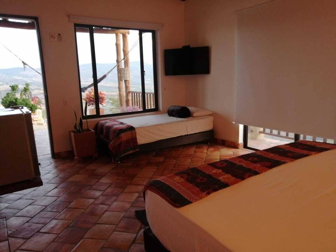 Un dormitorio con cama, ventana con vistas, televisión en la pared y una mesita con una planta.