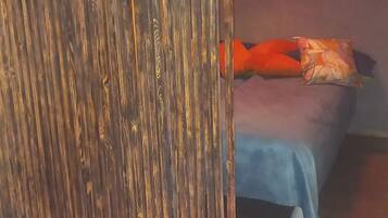 Lägenhet Basic | 1 sovrum, allergitestade sängkläder, gratis wi-fi och sängkläder