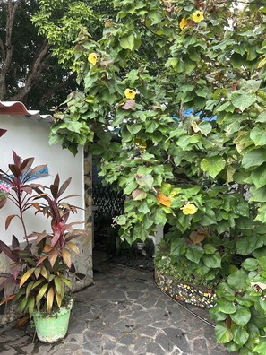 Détail de l’extérieur