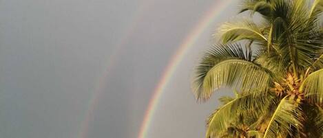 Beach nearby, sun-loungers, beach towels