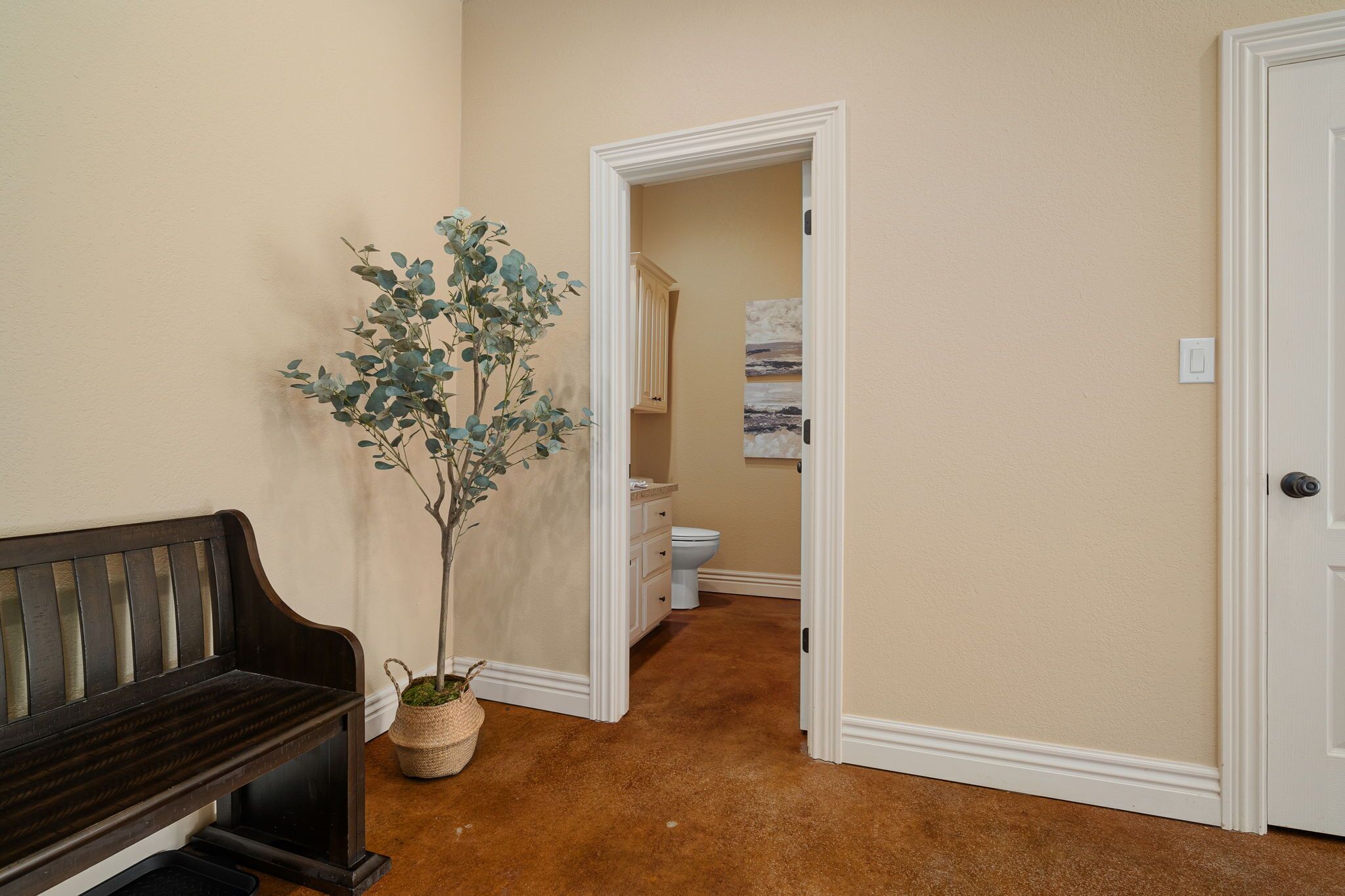 A hallway with a dark wooden bench, a potted plant, a white door, and a bathroom visible in the background.