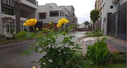 Full furnished & Luxury Entire Double Story House