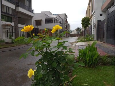 Full furnished & Luxury Entire Double Story House