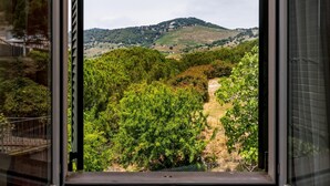 A vineyard view through a window. - Architectural jewel between sea and mountains (Teià)