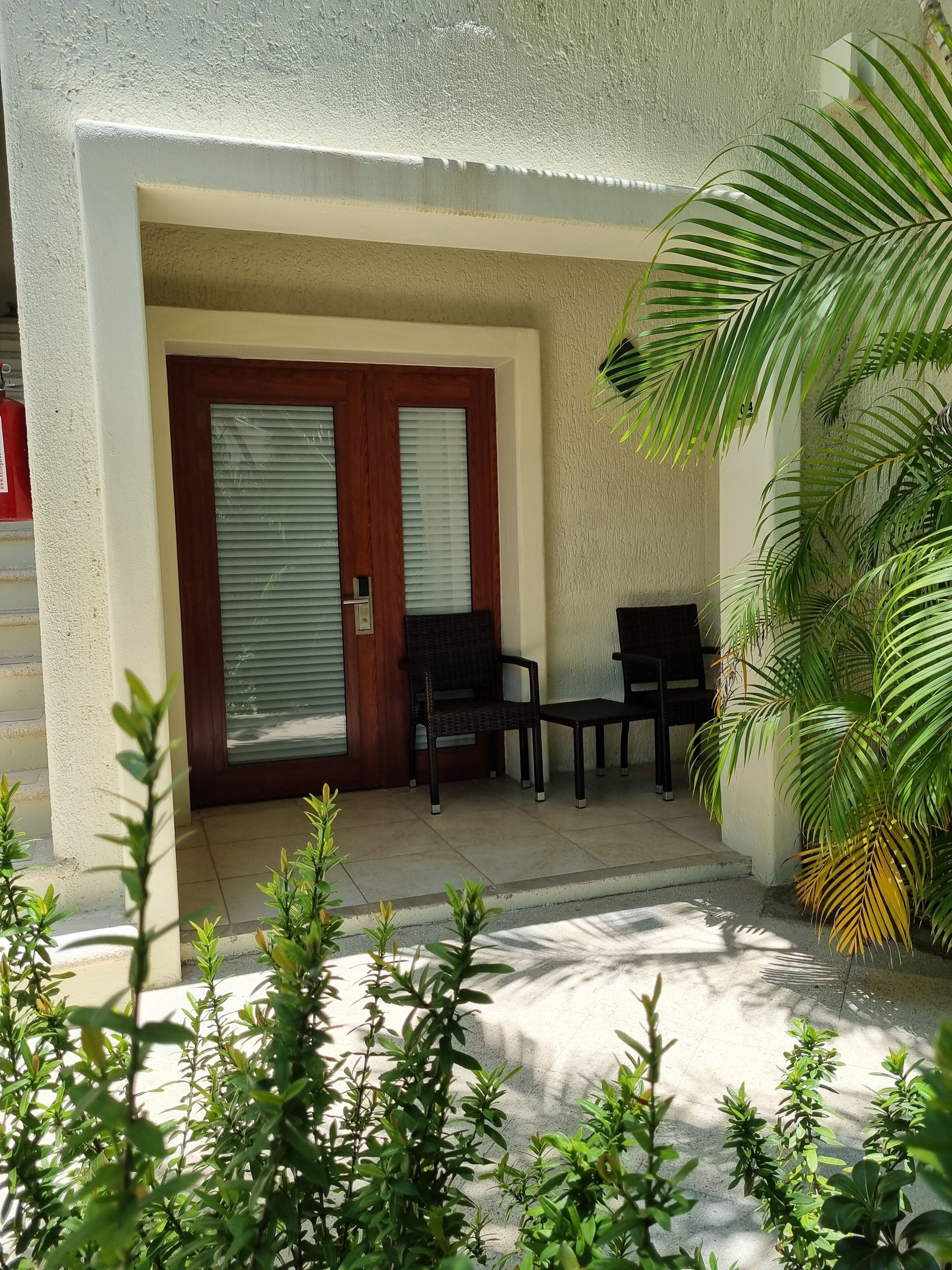 A covered outdoor seating area with two chairs and a table, a door with a window, and a palm plant.