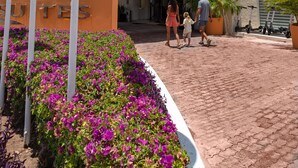 Ein Hotel Eingang mit einem Strohdach, Flaggen und einem Schild mit der Aufschrift 'World Experiences'.