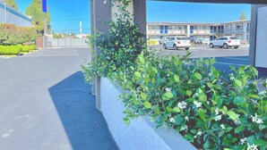 A parking lot with a building in the background, a clear sky, and some greenery along the building's exterior. - Motel 6 Yuba City, CA (Yuba City)