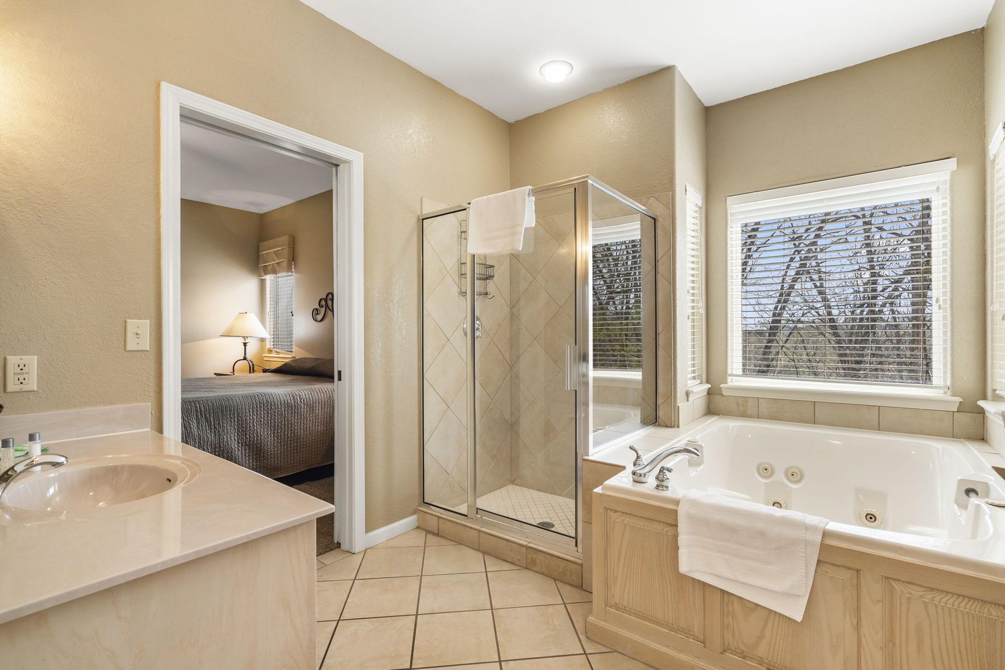 Combined shower/tub, jetted tub, hair dryer, towels