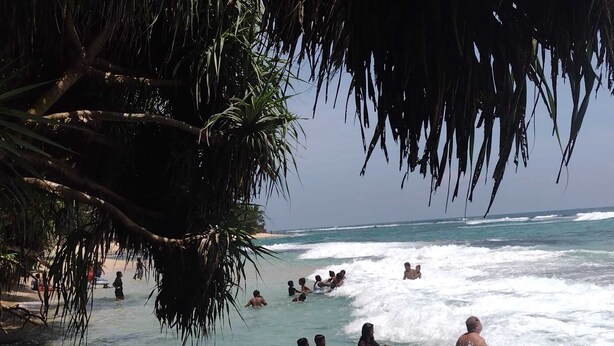 A beach scene with people in the water and on the shore, surrounded by palm trees and ocean waves.