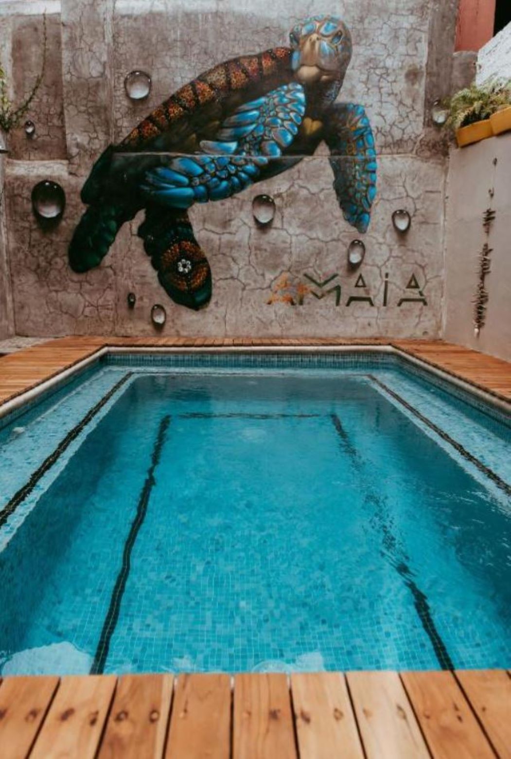 A swimming pool with a mural of a sea turtle on the wall.