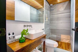 Hair dryer, towels, soap, shampoo