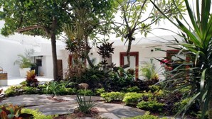 A garden with various plants and a white building with red doors.