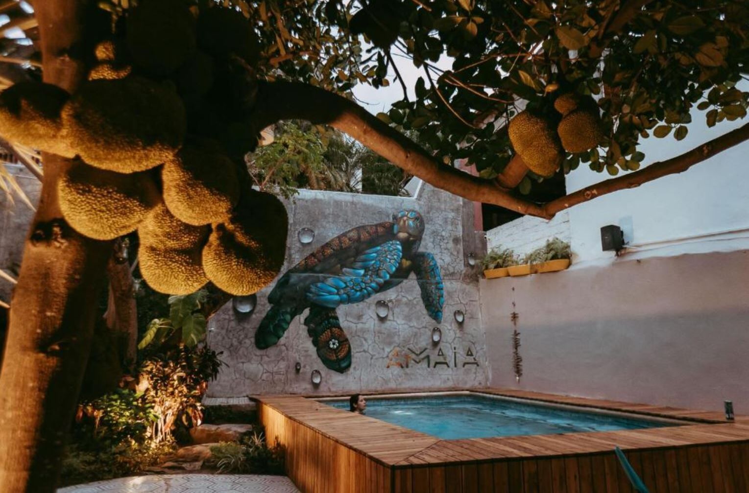 Une piscine avec une terrasse en bois, une fresque représentant une tortue de mer et des noix de coco suspendues.