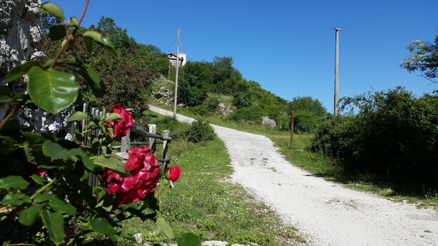 Ein Kiesweg führt bergauf, gesäumt von Grün.