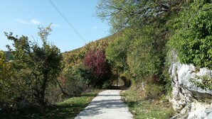 Ein Kiesweg führt durch ein bewaldetes Gebiet, begleitet von einer Steinmauer, über dem sich ein strahlend blauer Himmel erstreckt.