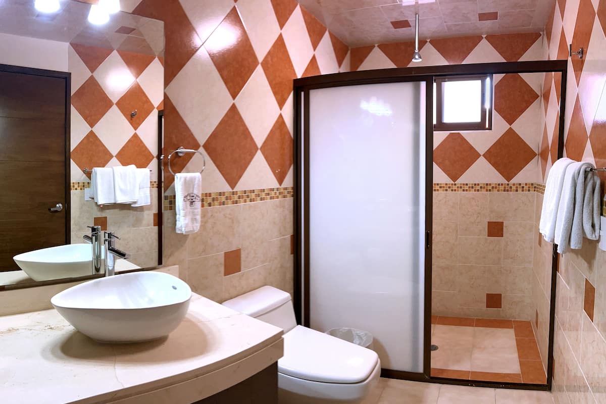 Une salle de bain avec un lavabo, des toilettes et une douche.