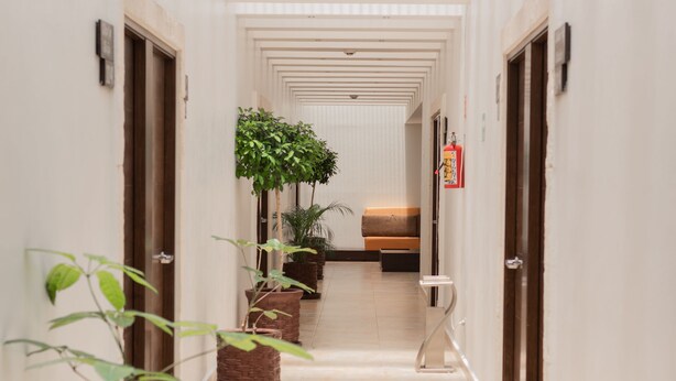 Um corredor com vários vasos de plantas, um banco e um extintor fixado na parede.