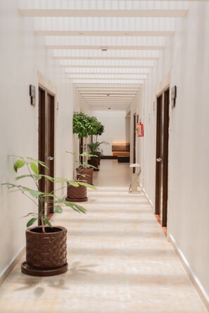 Un couloir orné de plusieurs plantes en pot, avec un banc et un extincteur fixé au mur.