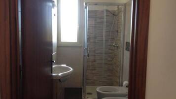 Shower, hair dryer, bidet, towels