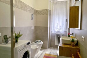 Shower, hair dryer, bidet, towels