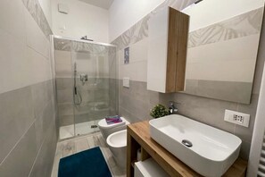 Shower, hair dryer, bidet, towels