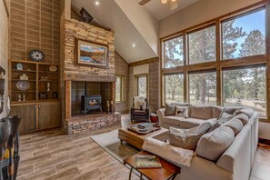 TV, fireplace, books