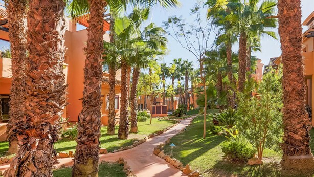 A pathway lined with palm trees and a building with orange walls.