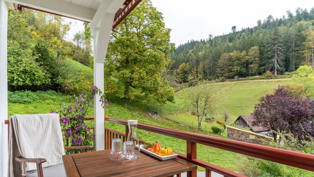 Una terraza de madera con una mesa y sillas, una mesita con una bandeja de fruta, y una vista de paisaje verde con árboles y una casa a lo lejos.