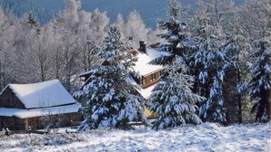 Ein mit Schnee bedecktes Haus mit Holzfassade, umgeben von schneebedeckten Bäumen und einer Bergkulisse.