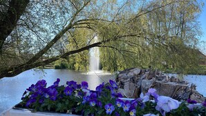 A tranquil garden with a fountain, surrounded by trees and a flower bed. - Apartment by the Park Lake with Lake Access (Bad Bodenteich)