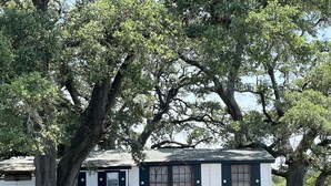 A rustic building with a dark facade and white trim, surrounded by large trees. - Amazing Secluded cottage under huge trees, on a working Ranch. (Flatonia)