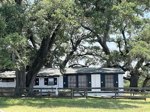 A cabin with a large tree in front, a fenced area, and a clear sky. - Amazing Secluded cottage under huge trees, on a working Ranch (Flatonia)