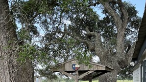 A rustic outdoor setting with a wooden gazebo, a pond with lily pads, and a red fire hydrant. - Amazing Secluded cottage under huge trees, on a working Ranch. (Flatonia)
