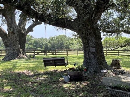 Amazing Secluded cottage under huge trees, on a working Ranch