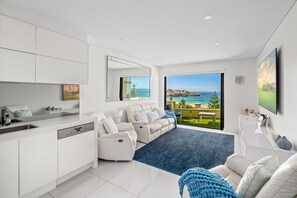 Televisor 