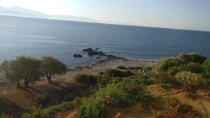 Un paysage côtier caractérisé par un terrain rocheux, une végétation clairsemée et une vue sur la mer.