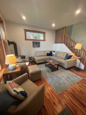 Smart TV, fireplace, books