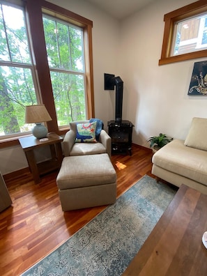 Smart TV, fireplace, books