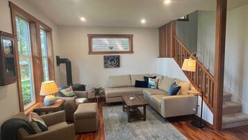 Smart TV, fireplace, books