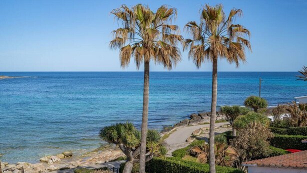 Une vue sur la côte, avec des palmiers, un ciel dégagé et une mer calme.