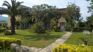 Un edificio con un camino de piedra que lleva a una puerta, rodeado de abundante vegetación y palmeras.