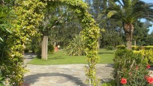 Un sendero de piedra que atraviesa un jardín con un arco cubierto de hiedra, rodeado de diversas plantas y una palmera.