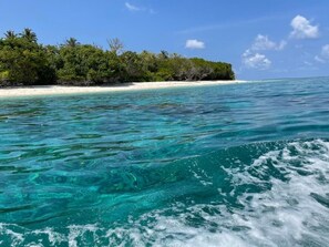 On the beach, white sand, sun loungers, beach umbrellas - ViluVeli Holiday Retreat (Hanimaadhoo)