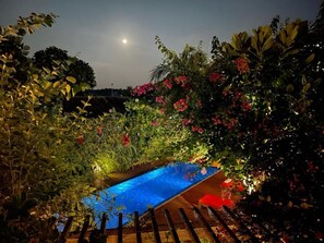 Outdoor pool, open 8:00 AM to 6:00 PM, pool umbrellas, sun loungers - ViluVeli Holiday Retreat (Hanimaadhoo)