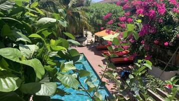 A pool surrounded by lush greenery and vibrant bougainvillea flowers.